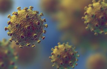 Covid -19 Korona Virüsü Hakkında Bilmemiz Gerekenler